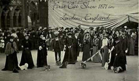 1871-LondonCatShow.jpg